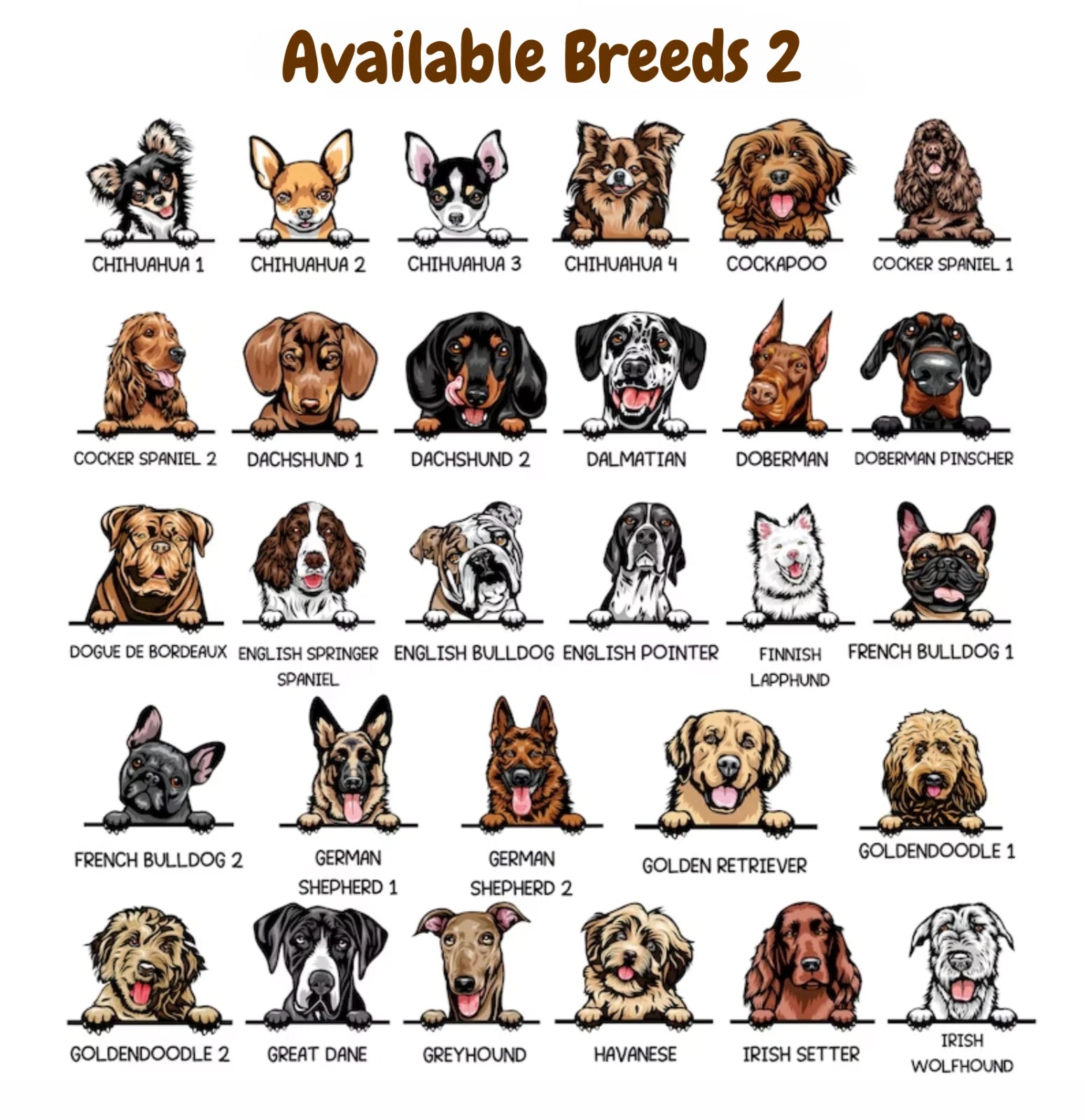 Illustrations of various dog breeds with labels on a white background