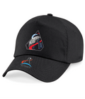 Childs Size NASA Artemis Logo Crew Baseball Cap Gift