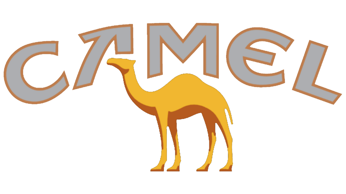Camel Baseball Cap | Signature Apparel
